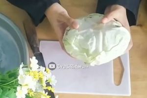 Cara menyimpan kubis agar tidak cepat busuk hingga 2 bulan