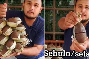 Jangan sampai salah, ini 5 cara membedakan gula aren asli dan palsu