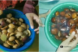 Trik merebus jengkol agar hemat gas dan cepat empuk, cuma butuh 12 menit