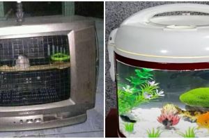 11 Modifikasi nggak biasa dari elektronik bekas ini bikin nyengir