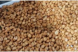 Pakai satu alat, begini cara meniriskan minyak goreng pada kacang bawang