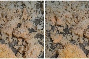 Trik menjemur nasi tanpa sinar matahari, tidak berjamur dan tetap kering saat hujan