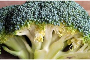 Tanpa direndam air garam, ini cara menyimpan brokoli agar tetap segar dan hijau hingga 5 hari