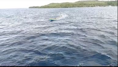 Aksi heroik ayah jemput anak perempuannya yang telat turun dari kapal, hingga bikin penumpang kagum