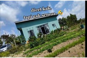 Menyatu dengan alam, 9 potret rumah di kelilingi sawah dan kebun ini punya desain modern minimalis
