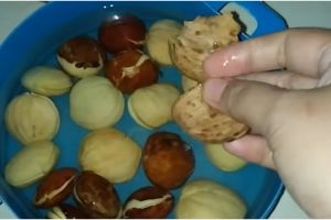 Cara cepat mengupas jengkol mentah, praktis tanpa pisau