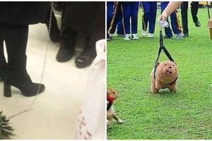 9 Kelakuan absurd punya 