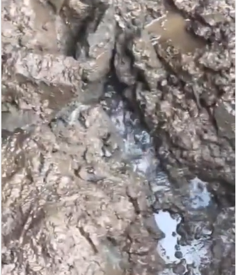 Ditemukan mata air dekat makam Eril, Ridwan Kamil janji memanfaatkan untuk kepentingan masyarakat