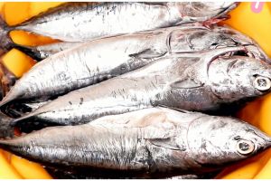 Mudah dipraktikkan, ini trik menghilangkan bau amis ikan tongkol