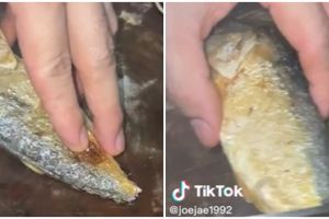 5 Cara bersihkan tulang ikan kembung yang sudah digoreng tanpa merusak dagingnya