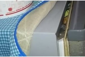 Tak perlu ke tukang service, ini cara memperbaiki pintu kulkas yang tidak tertutup rapat