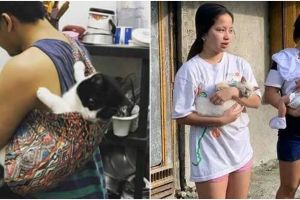 Dianggap seperti anak, 13 potret nyeleneh orang terlalu bucin ke kucing ini bikin senyum tipis