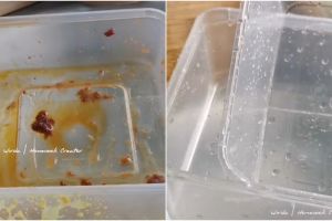 Lebih hemat sabun cuci piring, ini cara bersihkan noda minyak di tempat makan plastik