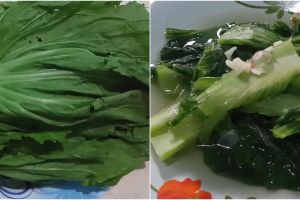 Jangan salah, begini trik agar sayur sawi tidak pahit dan tetap hijau saat dimasak