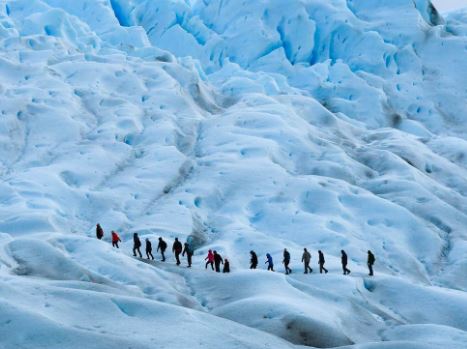Benua Antartika adalah benua dengan tingkat IQ dan pendidikan tertinggi di dunia, kok bisa?