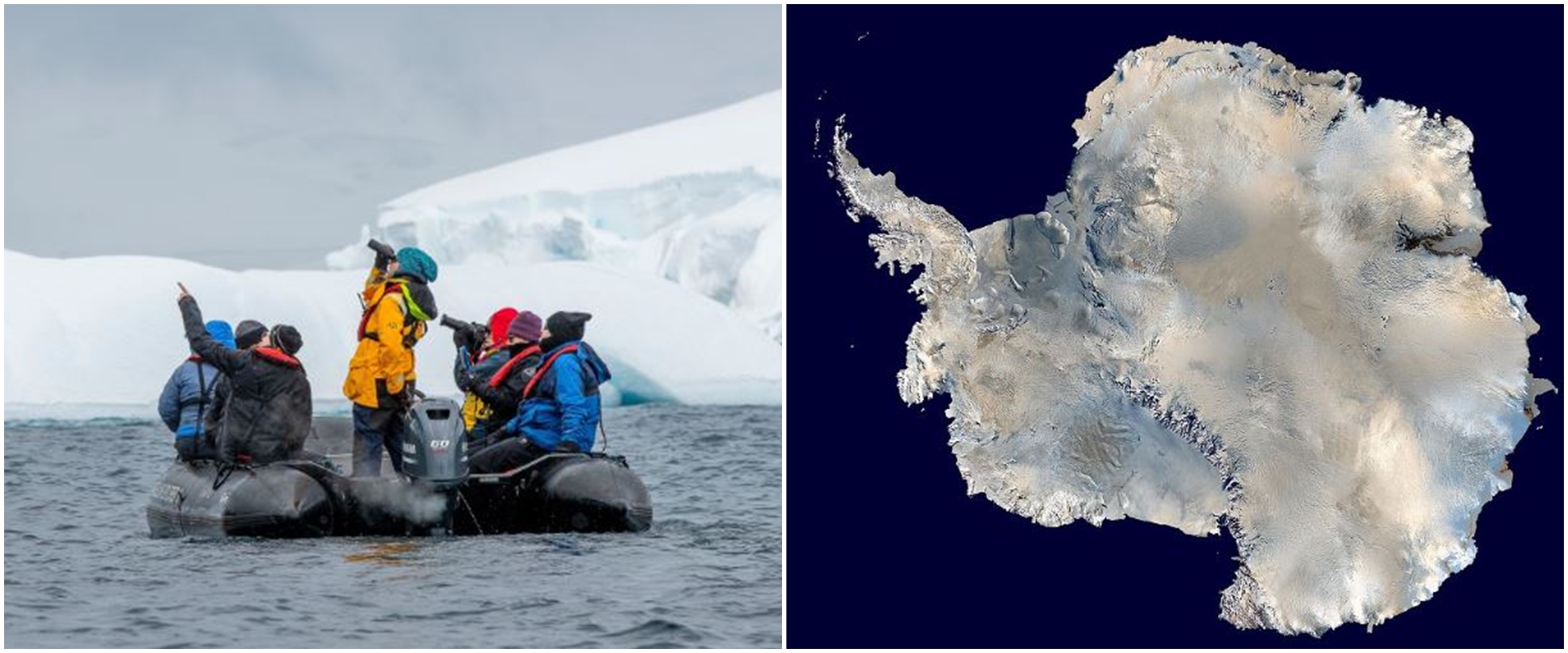 Benua Antartika adalah benua dengan tingkat IQ dan pendidikan tertinggi di dunia, kok bisa?