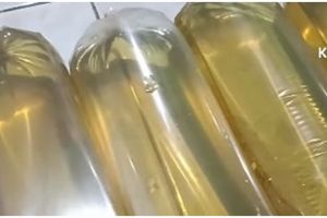 Cara mudah membungkus minyak curah agar rapi dan antitumpah