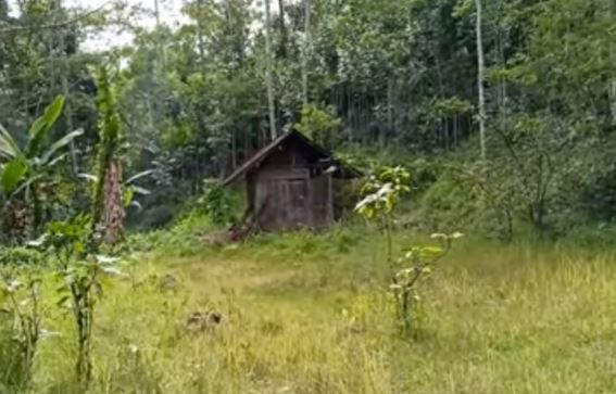 Hidup nestapa sebatang kara, nenek ini tinggal di gubuk pedalaman tanpa aliran listrik