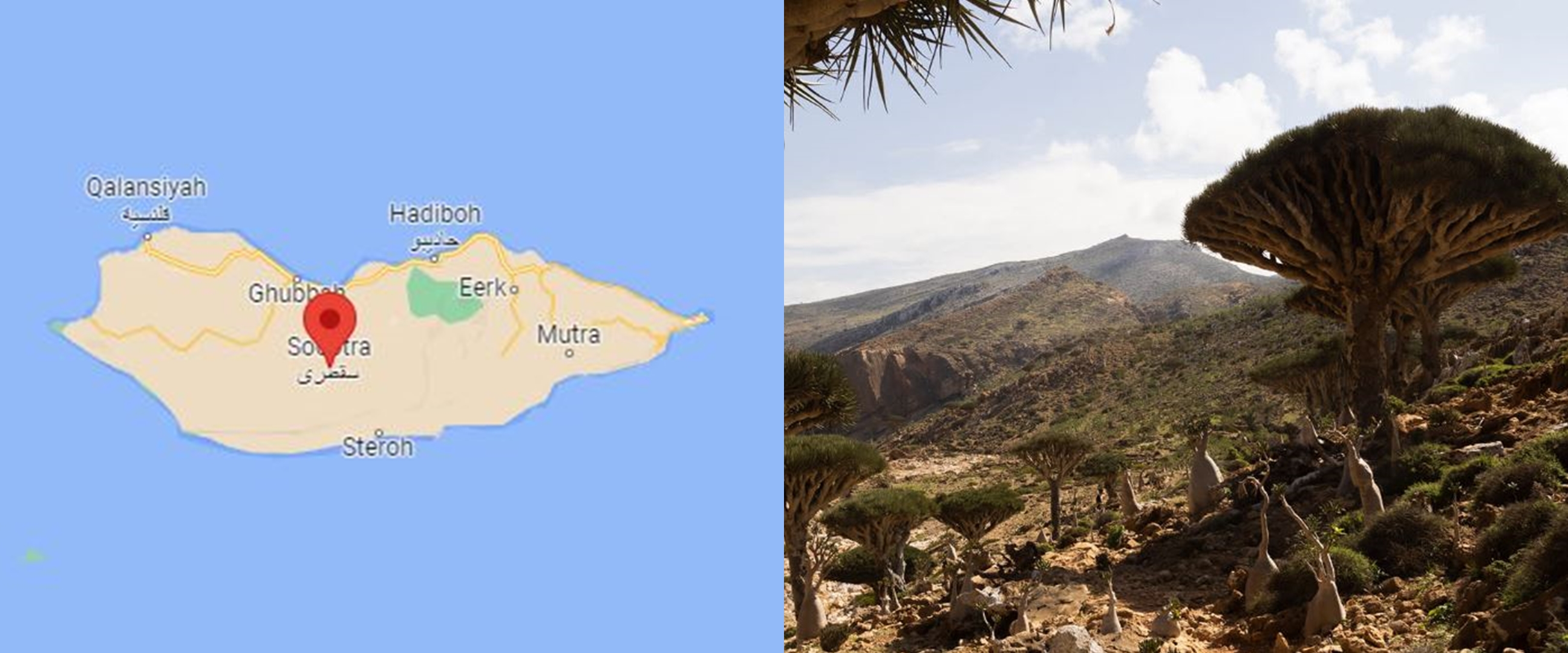 Pulau Socotra dikenal sebagai tempat persembunyian dajal, kenapa ya?