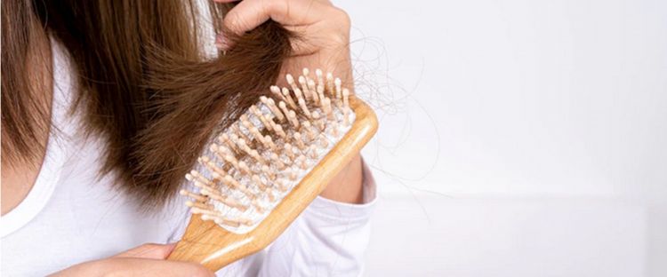 11 Rekomendasi paddle brush harga mulai dari Rp 20 ribu, bikin kulit kepala sehat