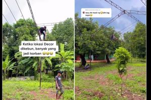 Ladang rumah disulap jadi venue nikah ini dekorasinya serasa di hotel bintang lima, intip 9 potretnya