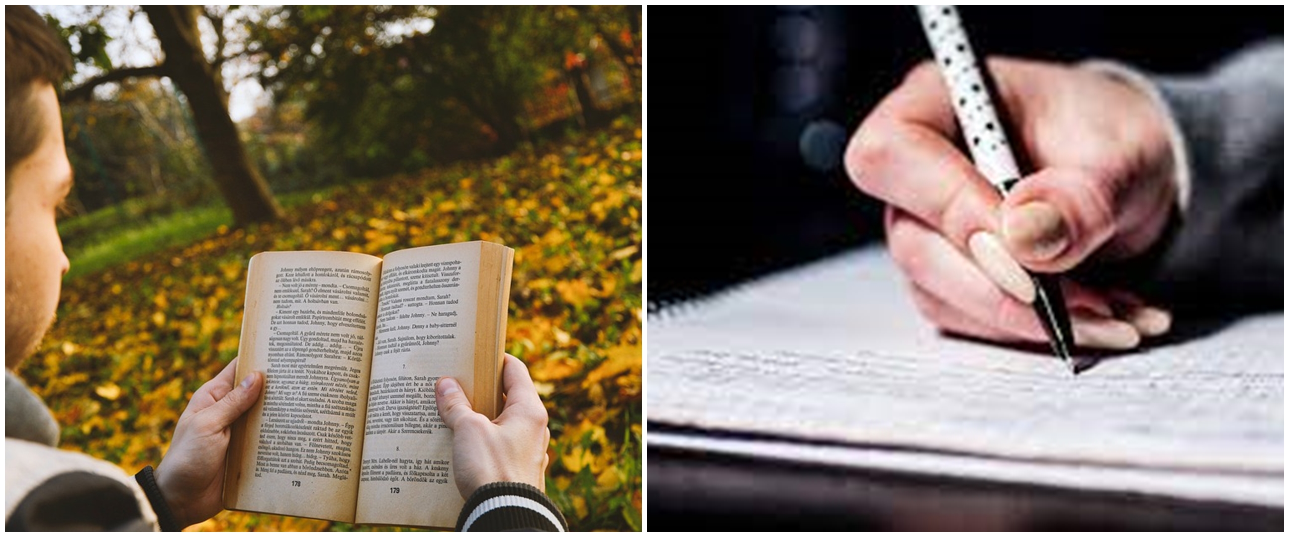 50 Contoh kata teknis, lengkap dengan pengertian dan cara penerapannya