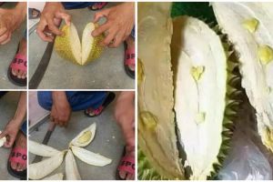 Terlalu zonk, 15 momen apes pas buka buah ini bikin pembeli rugi banyak
