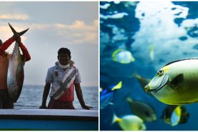 11 Arti mimpi mendapat ikan menurut primbon Jawa dan psikologi, pertanda baik atau buruk?