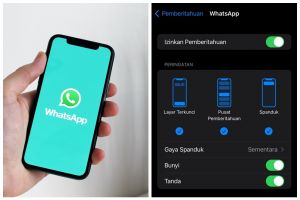 Cara menonaktifkan WhatsApp di iPhone tanpa mematikan data seluler, bikin pengguna lebih tenang