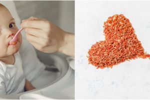 9 Manfaat beras merah untuk bayi, memperkuat sistem kekebalan tubuh