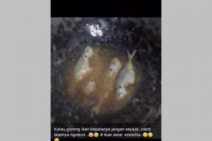 11 Status whatsapp lucu ibu-ibu pamer makanan, lucunya nggak ada duanya 