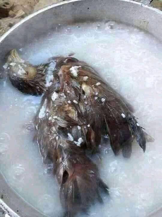 11 Potret nyeleneh di dalam wajan ini penampakannya bikin garuk kepala