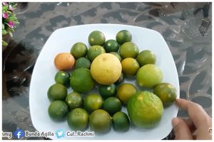 Cara menyimpan jeruk nipis agar awet dan tidak cepat kering lebih dari seminggu