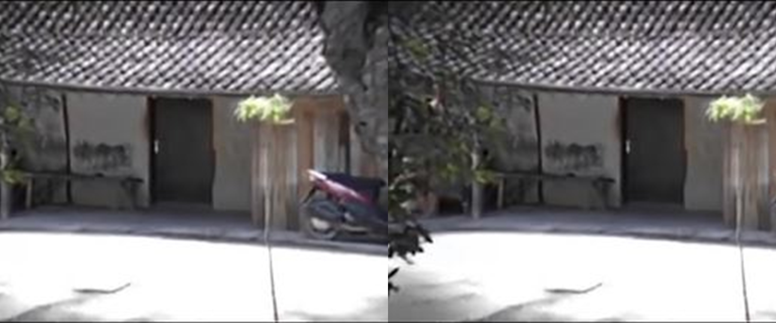 Dulu dihina huniannya nyaris roboh, kini TKW ini balas kesuksesan pamer rumah gedong