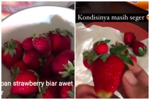 Tak perlu dimasukkan ke freezer, ini cara menyimpan stroberi agar tetap segar tahan lama