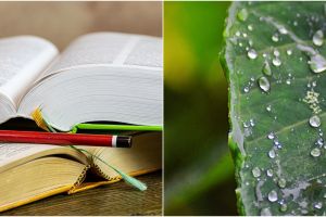 45 Contoh kata perumpamaan, lengkap dengan penjelasan dan cirinya yang mudah dipahami