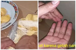 Bukan pakai sabun, ini trik atasi getah buah nangka yang lengket di tangan agar mudah hilang