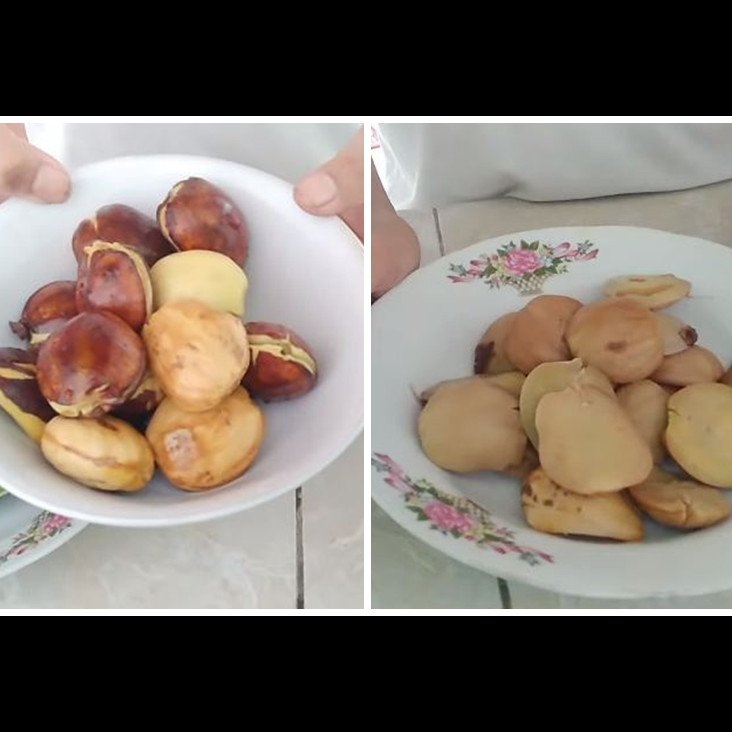 Hemat gas, ini cara merebus jengkol agar empuk dan tidak bau dalam 10 menit