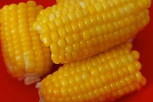 Pakai 2 bahan dapur, ini trik merebus jagung agar hasilnya manis dan tidak kecut saat sudah dingin