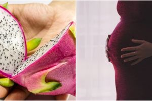 11 Manfaat buah naga untuk ibu hamil, bantu mencegah anemia