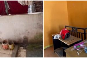 Makeover hunian sederhana jadi lebih kekinian dan estetik, hasilnya bikin melongo