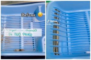 Cuma 5 menit dan tanpa disikat, ini cara cepat membersihkan noda lumut di rak piring plastik