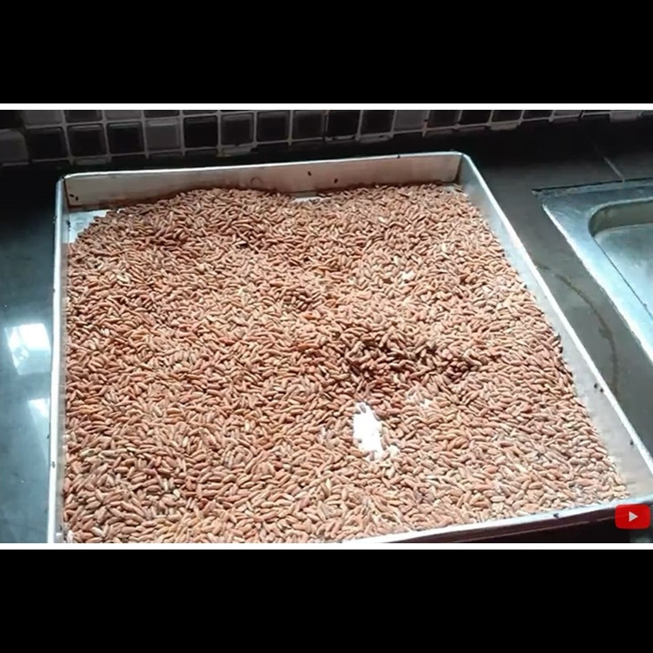 Cuma pakai satu alat, begini cara sederhana usir kutu dari tumpukan beras