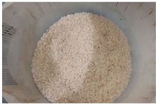 Trik mencuci beras agar bersih maksimal, nutrisinya tidak hilang dan tak cepat basi setelah jadi nasi