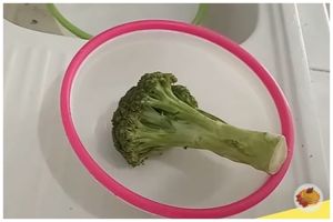 Bukan pakai tisu, ini trik jitu menyimpan brokoli agar tak kering dan menguning hingga 1 minggu