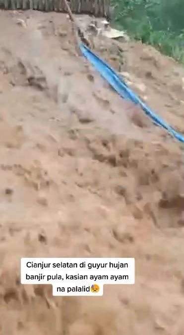 Momen pilu peternak di Cianjur cuma bisa nangis lihat ayam-ayamnya hanyut terbawa banjir