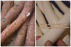 Bukan dibelah lurus, begini trik mengupas singkong dengan lebih cepat dan mudah