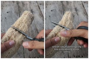 Cuma pakai satu jenis sayuran, ini cara membuat spons cuci piring alami yang kuat dan ramah lingkungan