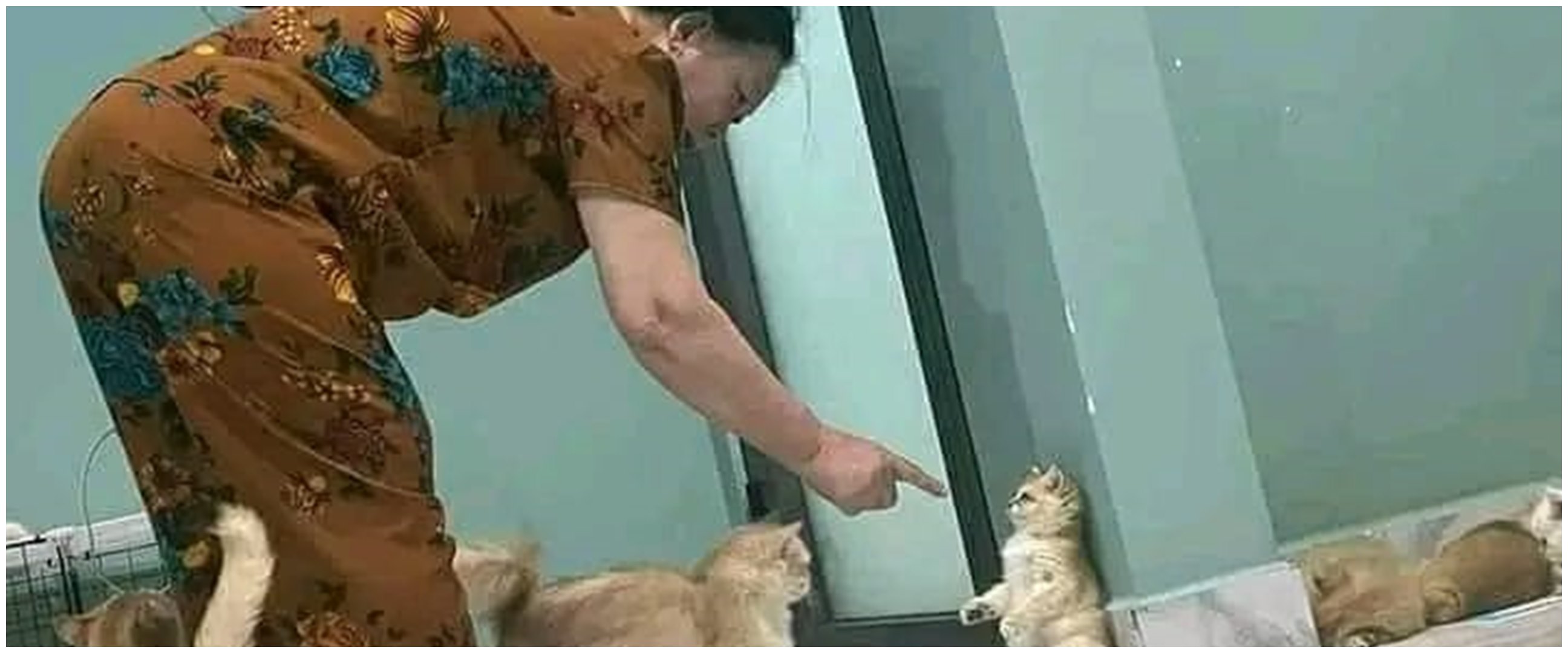 Jadi makhluk terkuat di bumi, 11 aksi kocak emak-emak kalau lagi marah ini fix jangan dilawan
