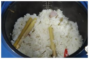 Trik simpel bikin nasi daun jeruk pakai rice cooker agar pulen, gurih, dan lebih wangi